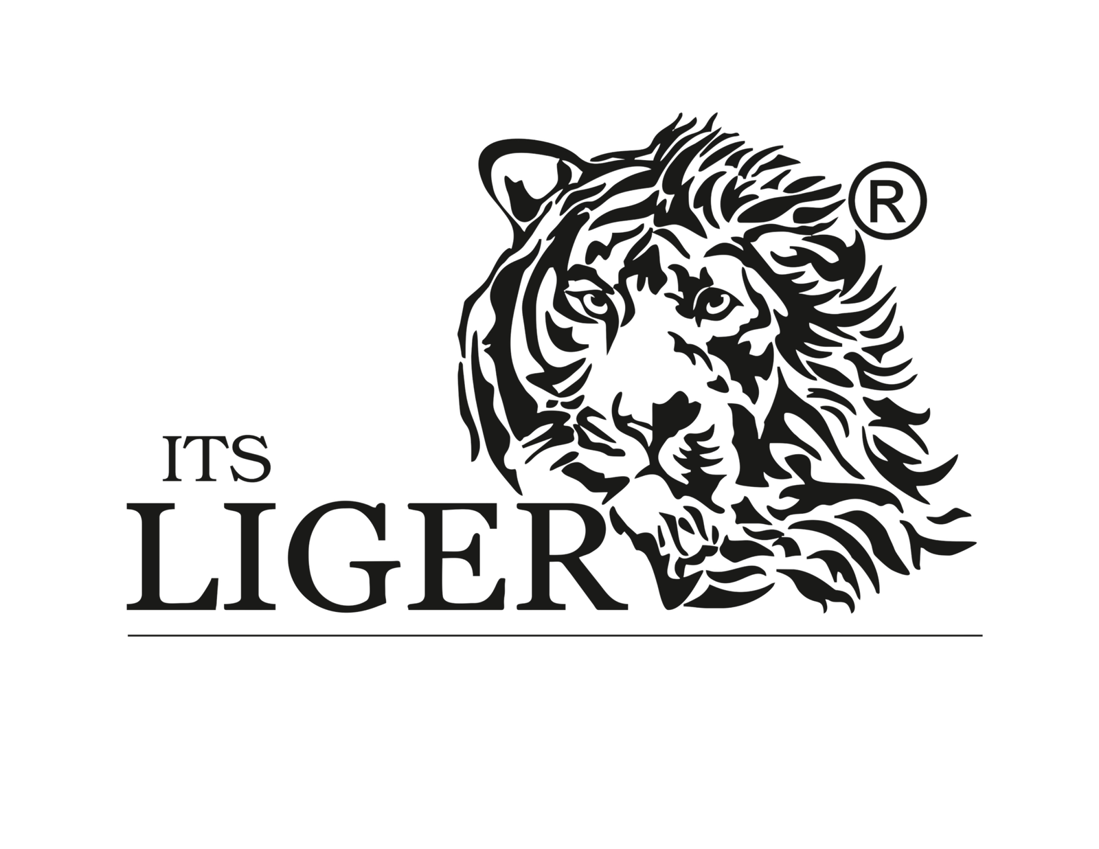 ITS LIGER